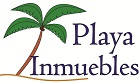 playainlogo6.jpg